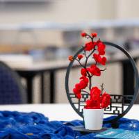 Asian Moonlit Decade11